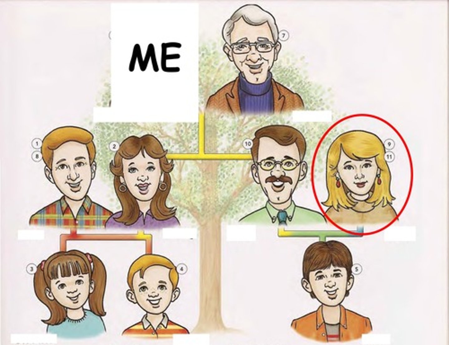 knowt flashcard image