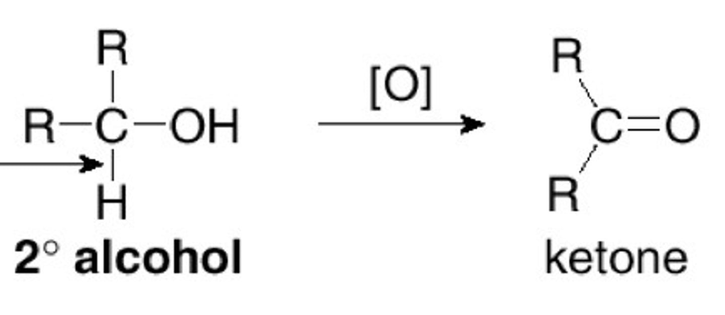 <p>alcohol to ketone</p>