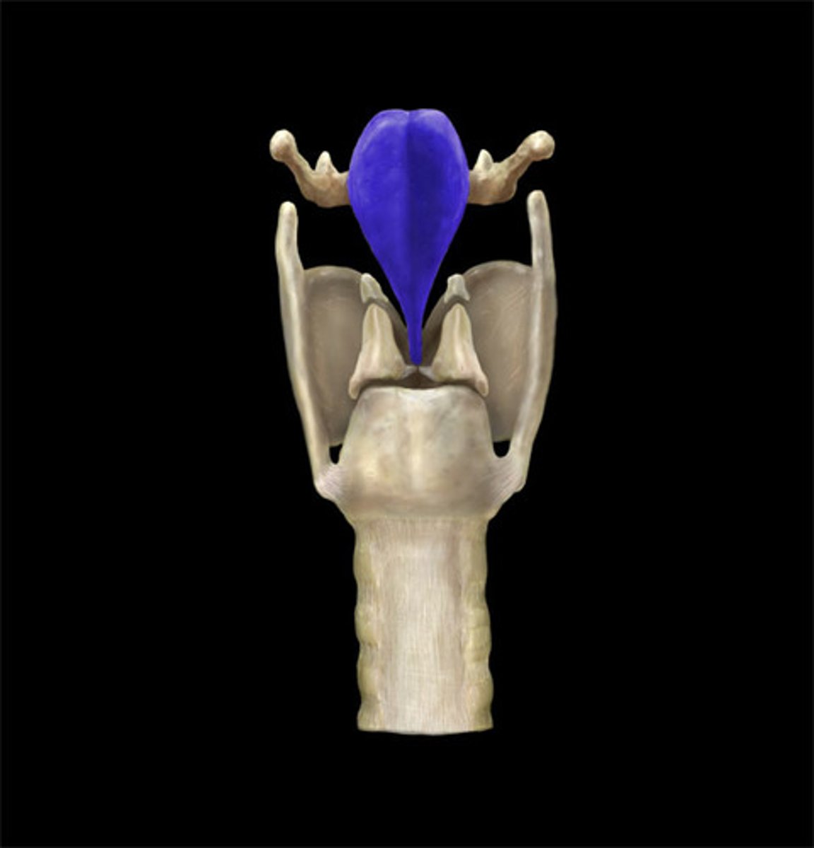 <p>Name the Structure</p>