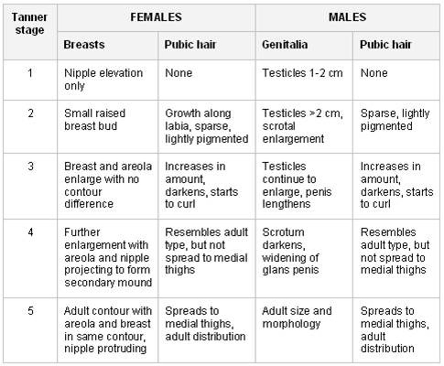 <p>measures levels of sexual maturation in male and female development; males experience testicular/penile development and pubic hair while females experience breast development and pubic hair</p>