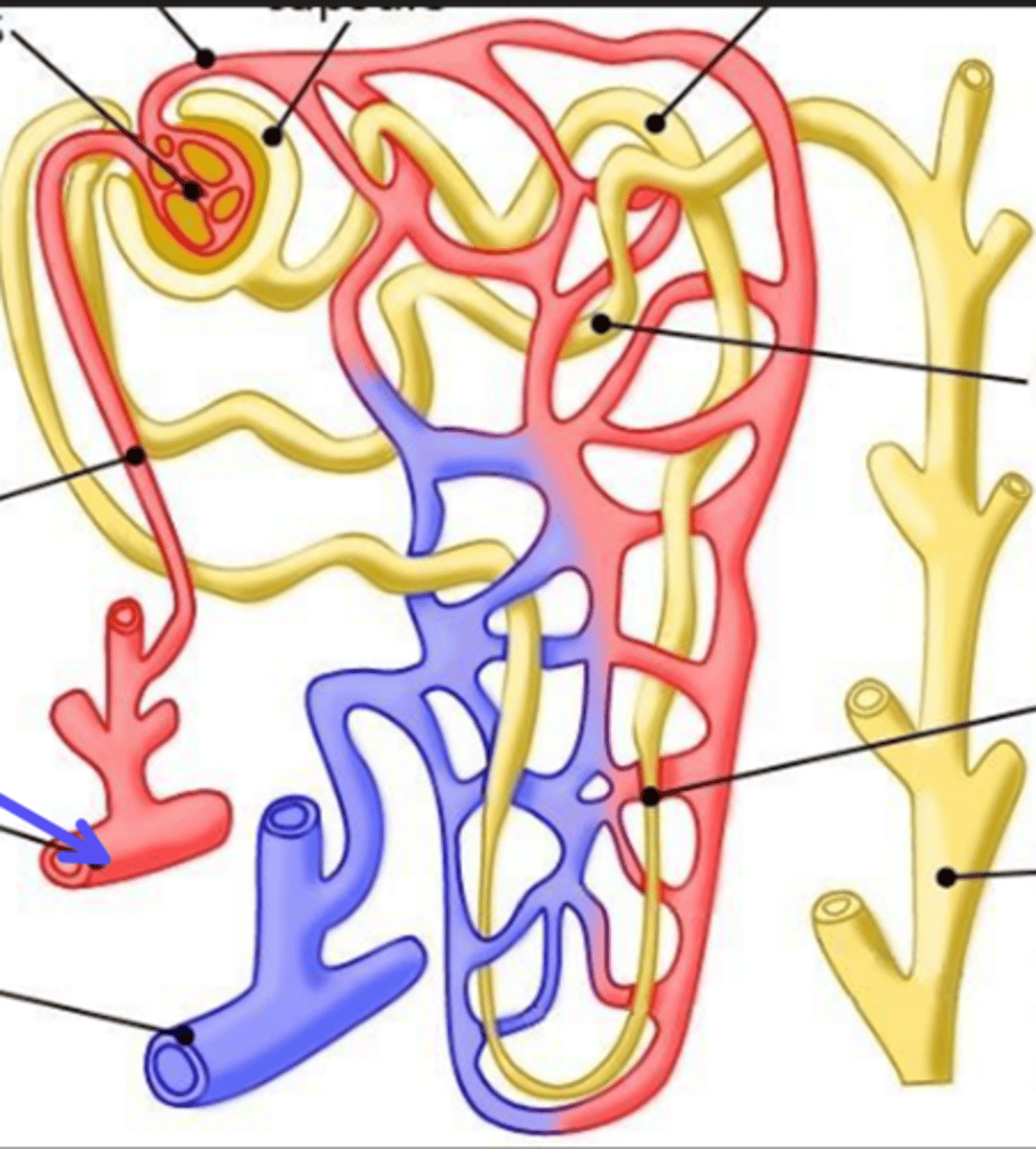 <p>What is the arrow pointing at?</p>