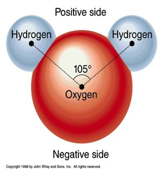 <p>water is a polar molecule with one oxygen atom negatively charged and two hydrogen atoms positively charged.</p>