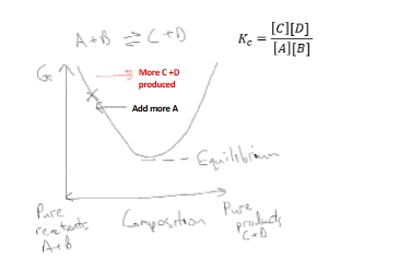 <ul><li><p class="Paragraph WhiteSpaceCollapse SCXP253040816 BCX8" style="text-align: left;"><span style="line-height: 0px;"><span>If we add more reactant A or B, the system readjusts back towards equilibrium by making more product C + D​</span></span></p></li><li><p class="Paragraph WhiteSpaceCollapse SCXP253040816 BCX8" style="text-align: left;"><span style="line-height: 0px;"><span>If we add more product C or D, the system readjusts back towards equilibrium by making more product A + B​</span></span></p></li><li><p class="Paragraph WhiteSpaceCollapse SCXP253040816 BCX8" style="text-align: left;"><span style="line-height: 0px;"><span>Example of Le Chatelier’s principle:</span></span></p></li></ul><p class="Paragraph WhiteSpaceCollapse SCXP253040816 BCX8" style="text-align: left;"><span style="line-height: 0px;"><em><span>When a system at equilibrium is subjected to disturbance, the composition of the system adjusts to minimize the disturbance</span></em><span>​</span></span></p><p class="Paragraph WhiteSpaceCollapse SCXP10752277 BCX8" style="text-align: center;"><span style="line-height: 0px;"><span>​</span></span></p><p></p>