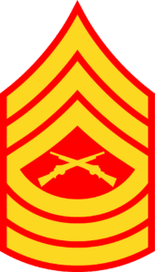 <p>Master Sergeant (MSgt) or First Sergeant </p>