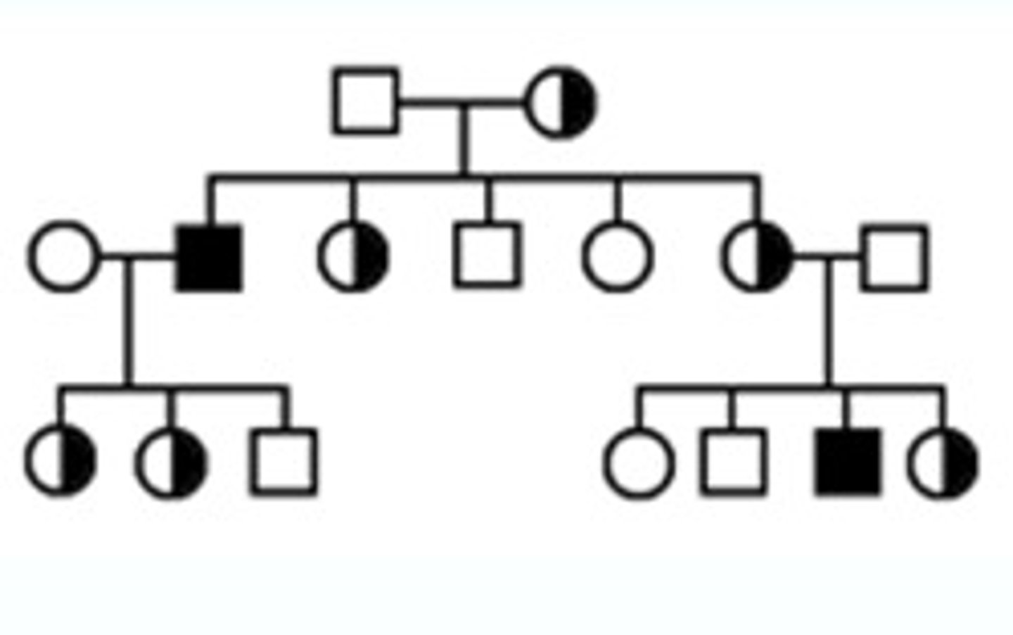 <p>-no father-son transmission</p><p>-more affected males</p><p>-affected dad, normal mom=normal children</p><p>-females that are carries may pass it to their sons</p>