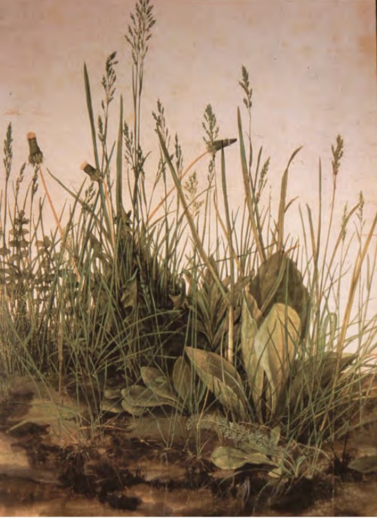 <p>Four Horsemen of the Apocalypse and The Great Piece of Turf</p>