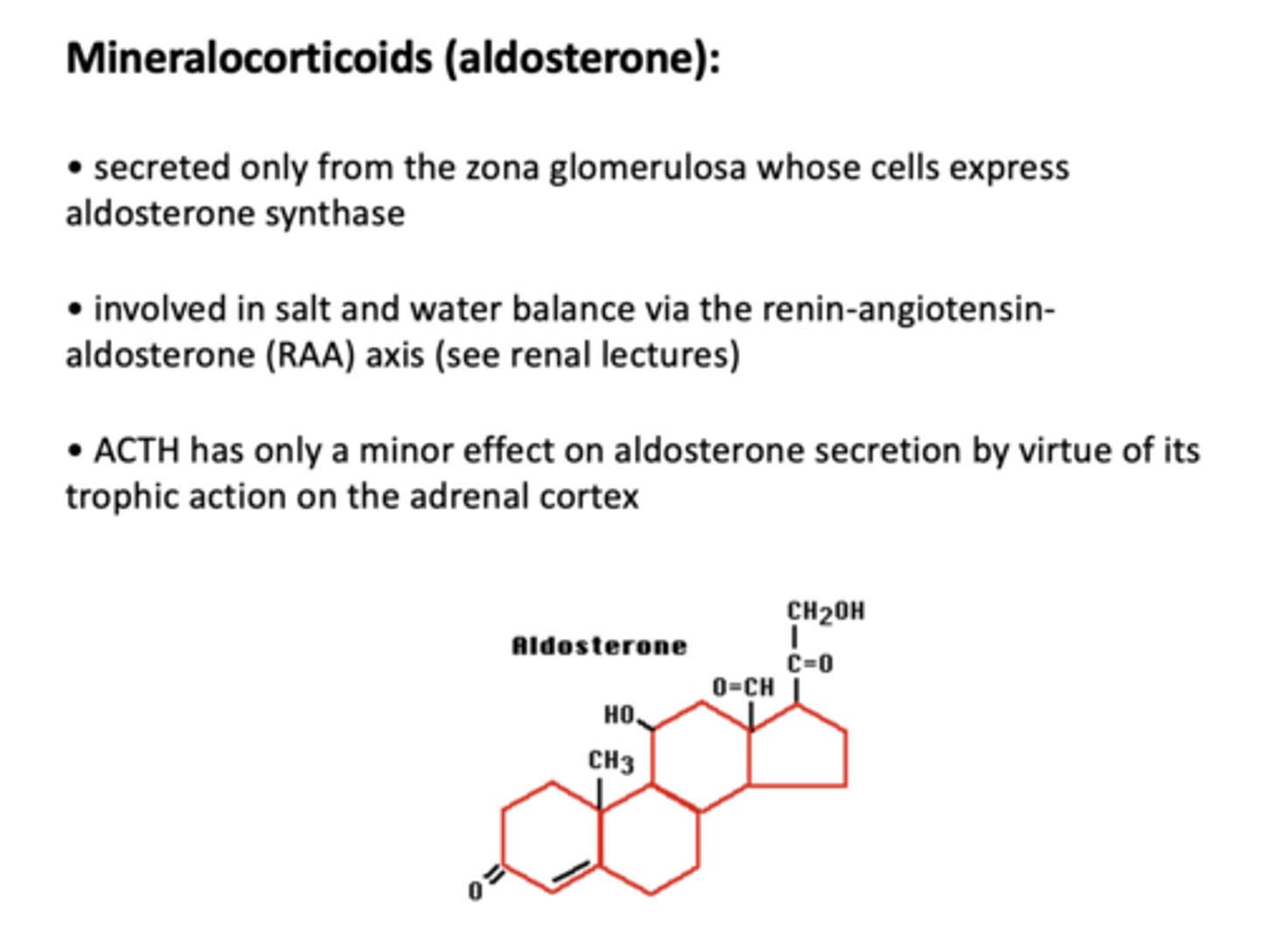 <p>Zona Glomerulosa</p>