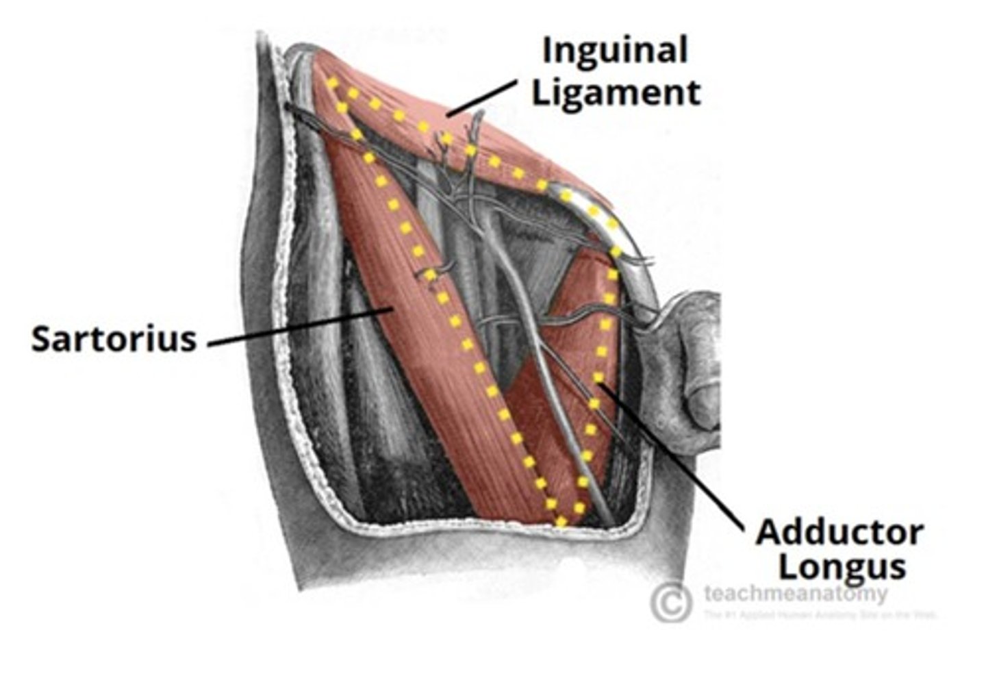 <p>What is the name of this complex?</p>