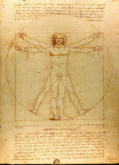 <p>Vitruvian Man</p>