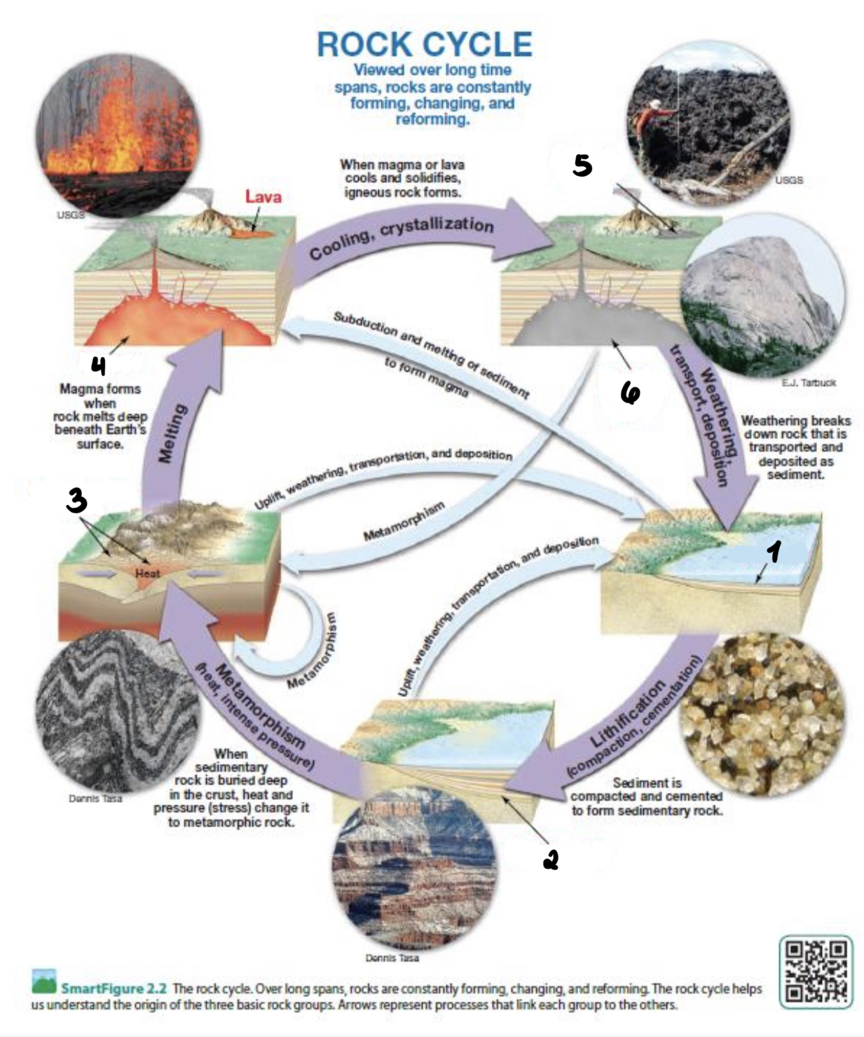 <p>(1) Rocks that has gone through weathering (2) Formed through Lithification (compaction and cementation) (3) Caused by Metamorphism (heat and intense pressure) (4) Rocks that are melted due to high heat; Able to move around (5) Magma that has cooled down very quickly (6) Magma that cooled off slowly, forming large crystals</p>
