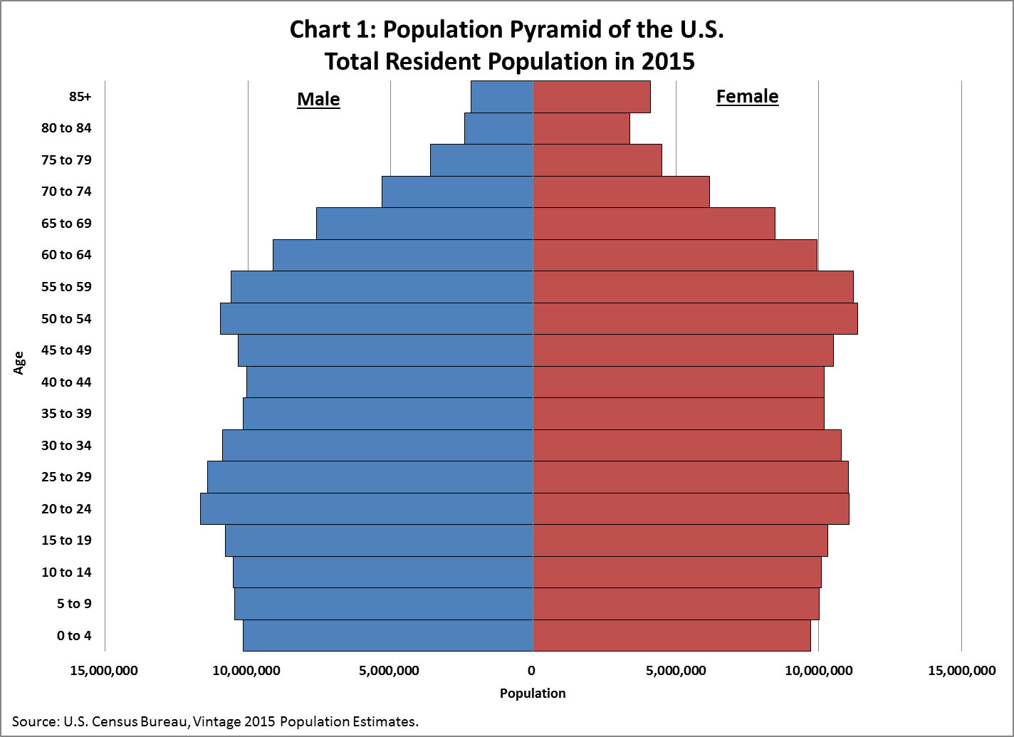 <p>Graphical representation of a population's age composition, indicating growth trends.</p>