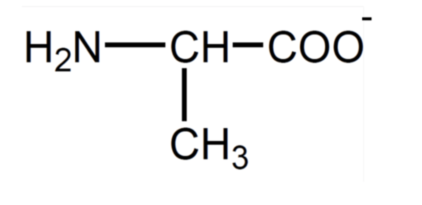 <p>The carboxylic acid group is deprotonated by bases</p>