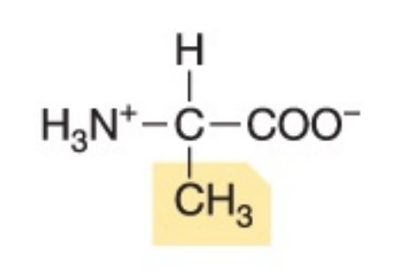 <p>Non-polar, hydrophobic</p>