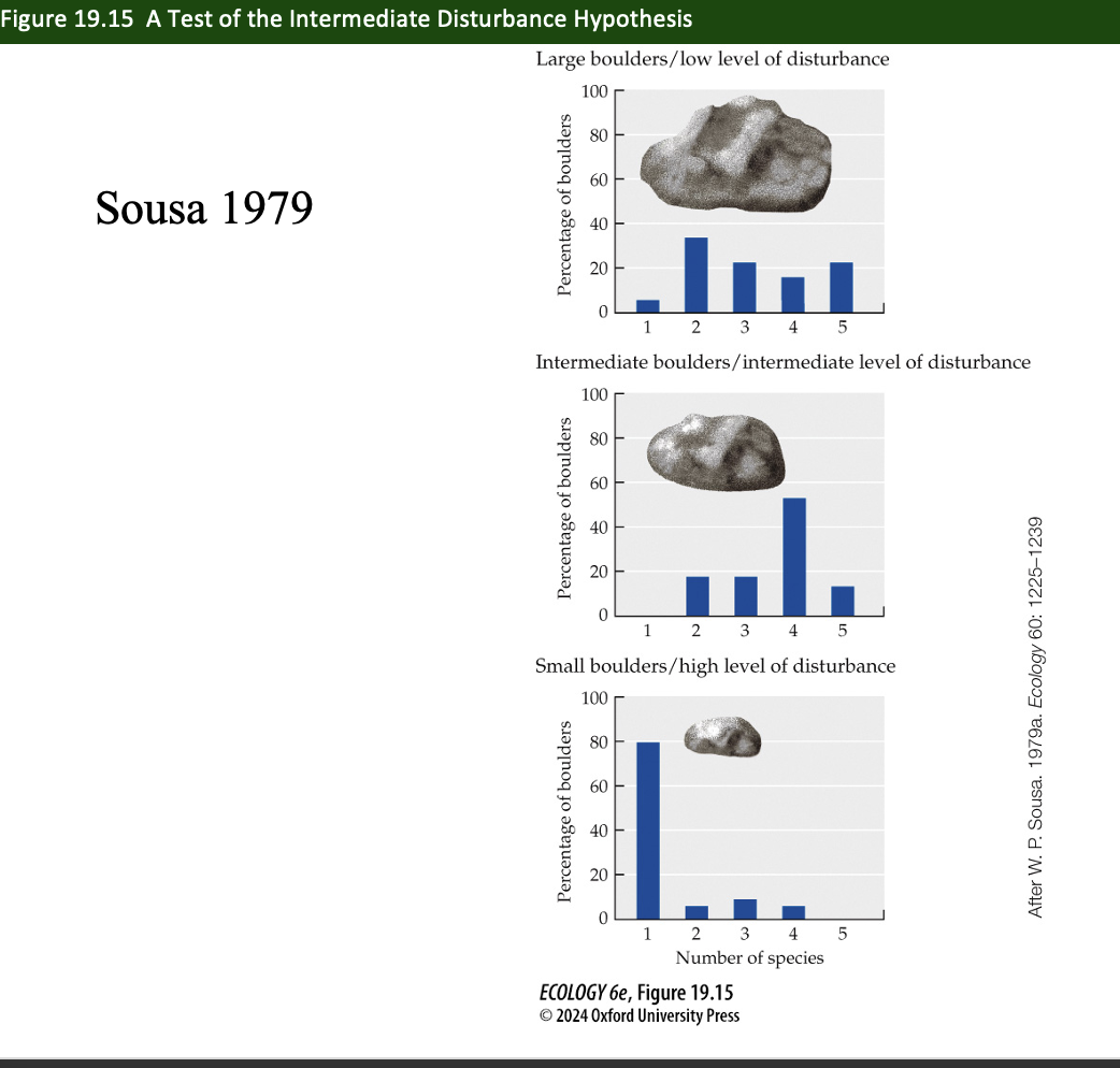 <p>How did Sousa test the intermediate disturbance hypothesis (Figure 19.15)</p>