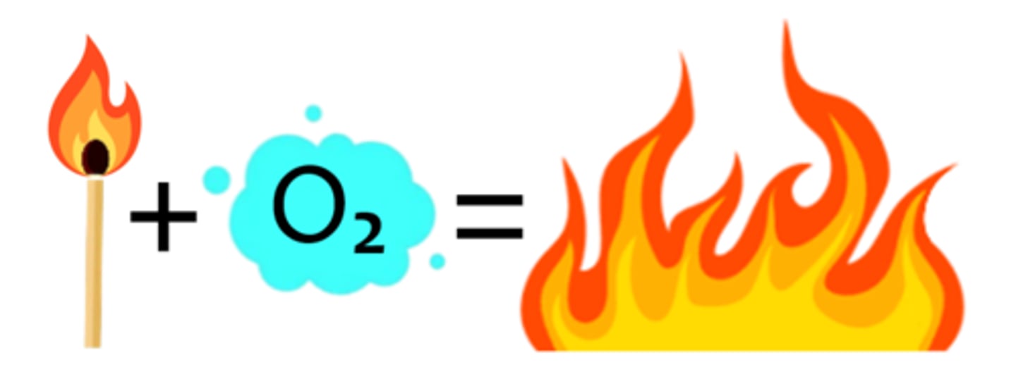 <p>able to catch fire & burn easily, highly flammable</p>