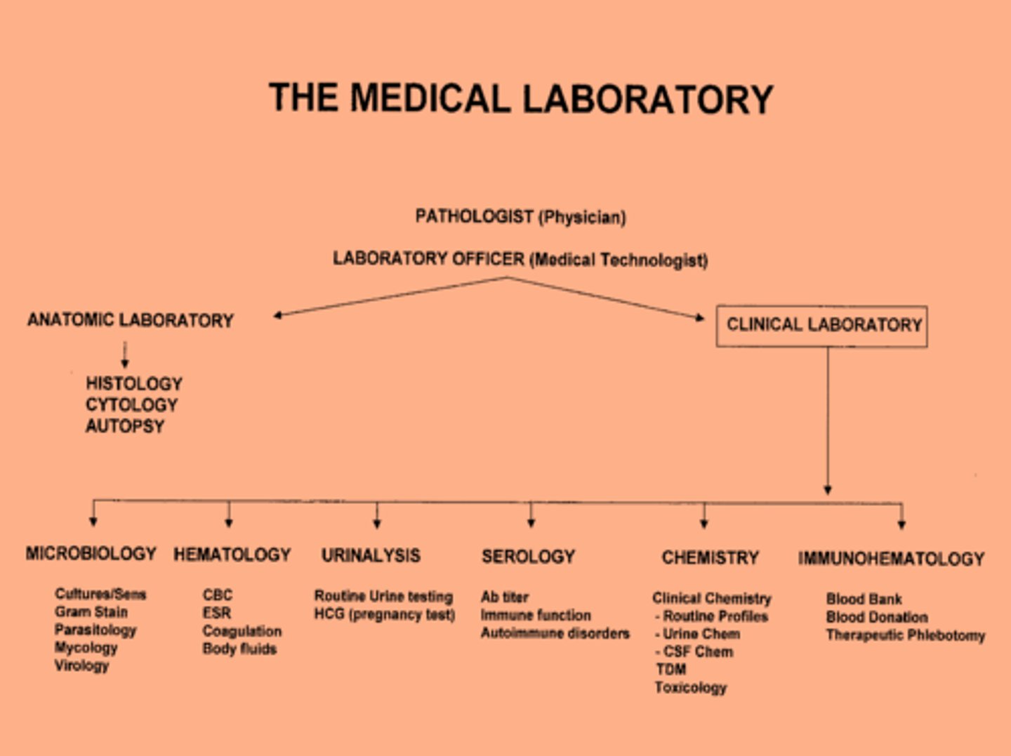 <p>Microbiology, hematology, urinalysis, serology, chemistry, immunohematology</p>