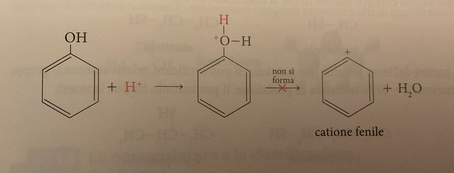 <p><span>I fenoli sono solidi cristallini incolori. Non hanno un comportamento basico: in acqua si comportano da acidi di Brønsted-Lowry cedendo l’atomo di idrogeno del gruppo -OH sotto forma di ione H+; si formano così lo ione fenossido e lo ione ossonio. </span></p>