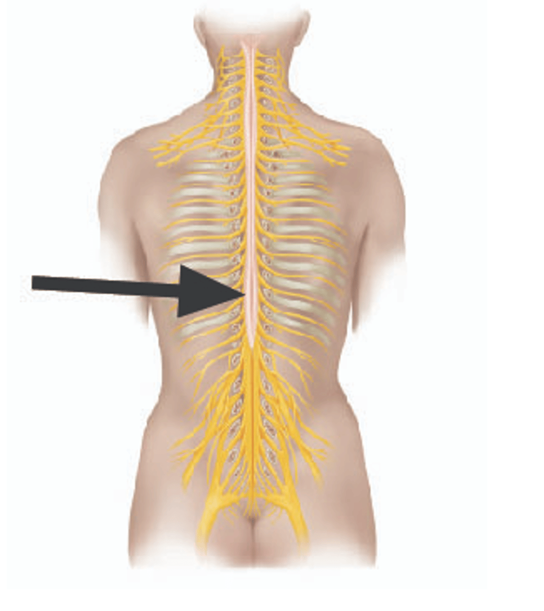 <p>Identify structure (wider area).</p>