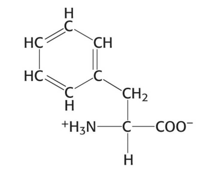 <p>Which amino acid is this</p>