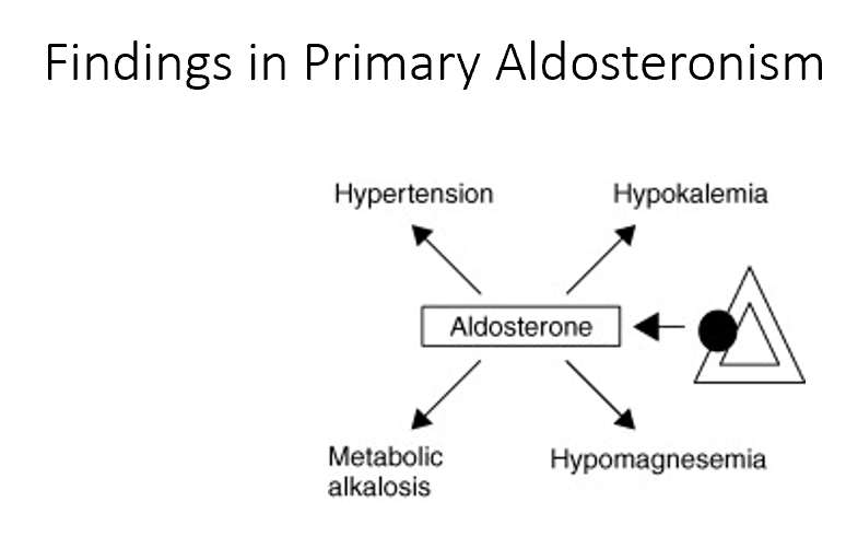 <p>Hypertension</p><p>Hypokalemia</p><p>Metabolic alkalosis</p><p>Hypomagnesemia</p>