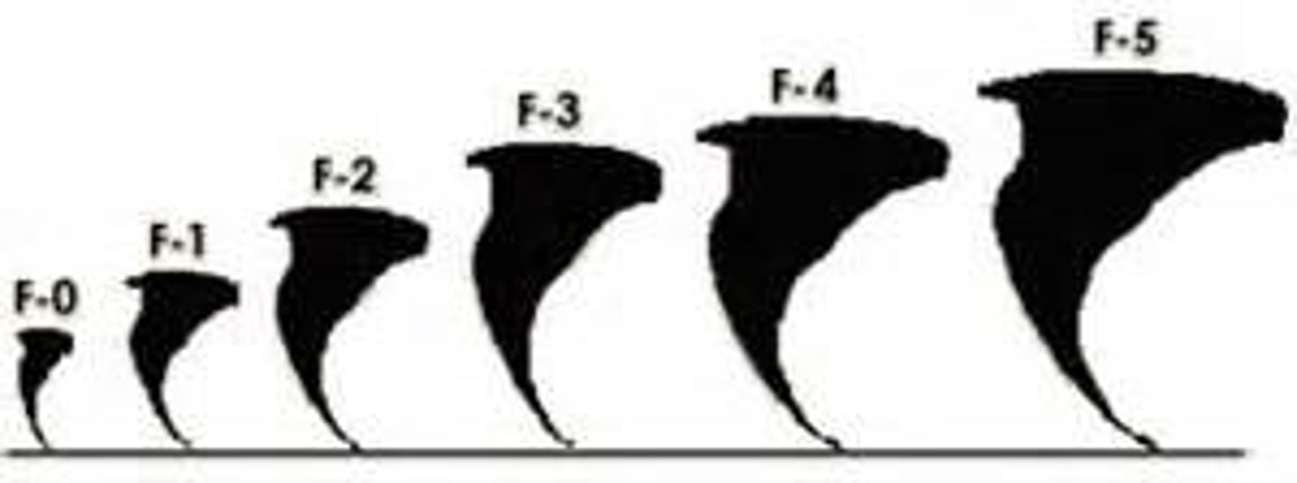 <p>A scale that tells how severe a tornado is based on wind speed and the damage being caused.</p>
