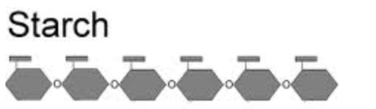 <p>Storage form of glucose in plants </p><p>polysaccharide</p><p></p>