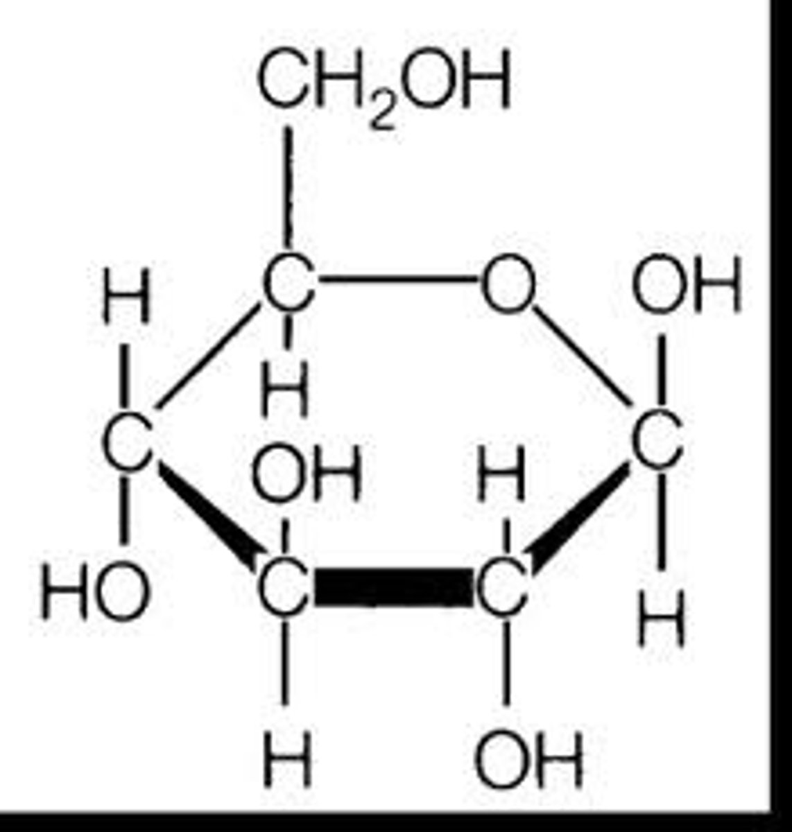 <p>Disaccharides formula (before hydrolysis) ???</p>