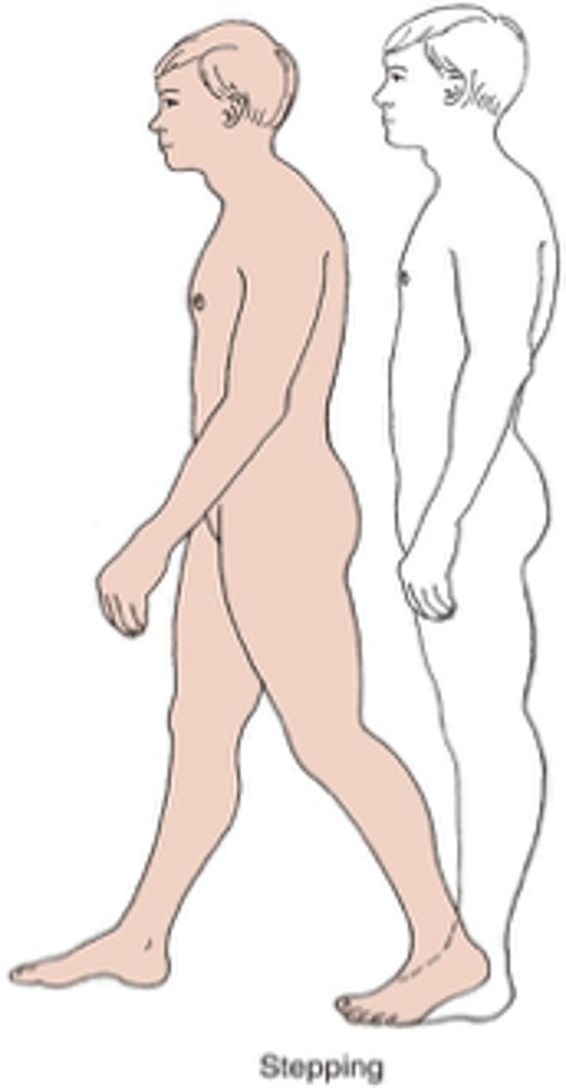 <p>used when Ankle and Hip fails</p><p>- attempt to re-establish new BOS with active limb when COG has exceeded original BOS</p>
