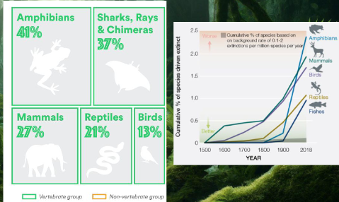 <ol><li><p>Habitat destruction and fragmentation </p></li><li><p>Disease, specifically chytridiomycosis</p></li><li><p>Climate change impacts</p></li><li><p>Pollution and pesticides</p></li><li><p>Invasive species</p></li></ol><p></p>
