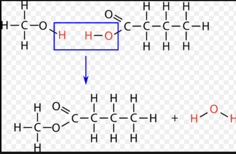 <p>When you add H2O to create a bond (reactant)</p><p>form of anabolism</p>