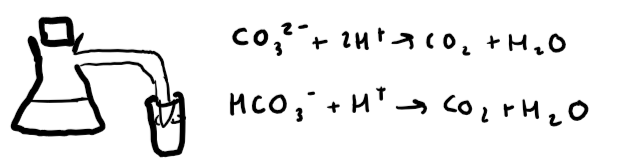 <p>Add hydrochloric acid to carbonate to make CO<span><sub>2</sub></span> gas. Bubble through limewater.</p>