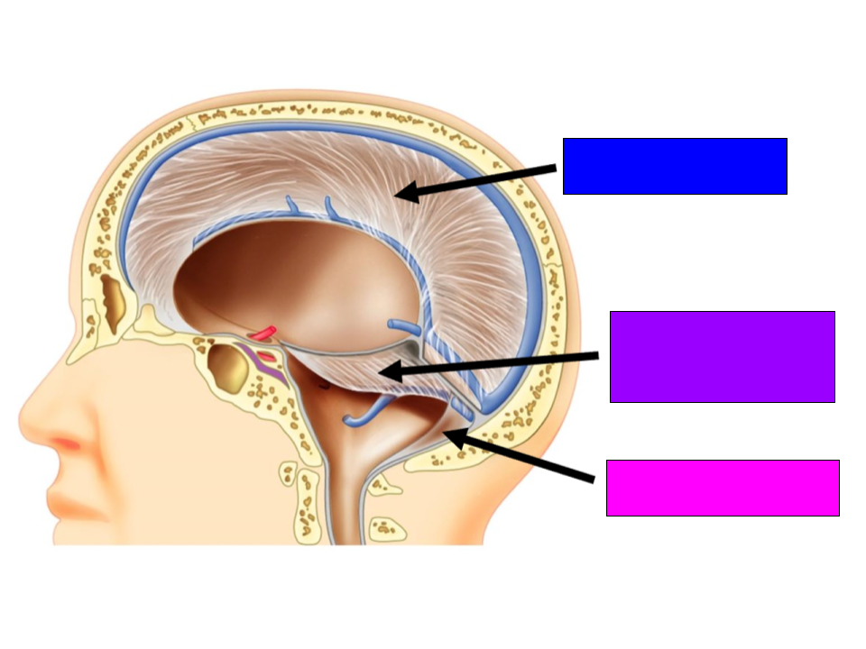 <p>What is blue?</p>