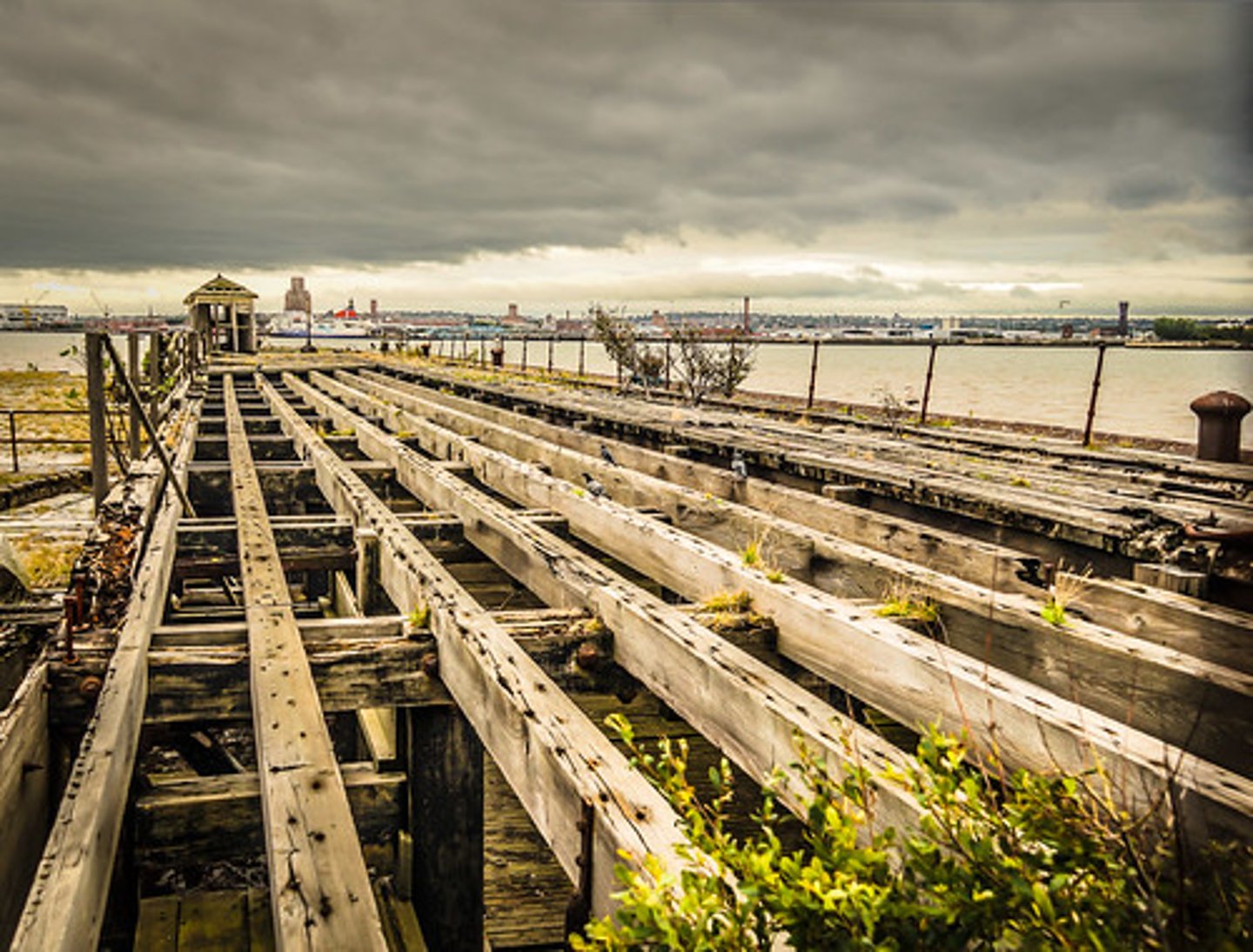 <p>The diminishing in importance and eventual disappearance of a phenomenon with increasing distance from its origin.</p>