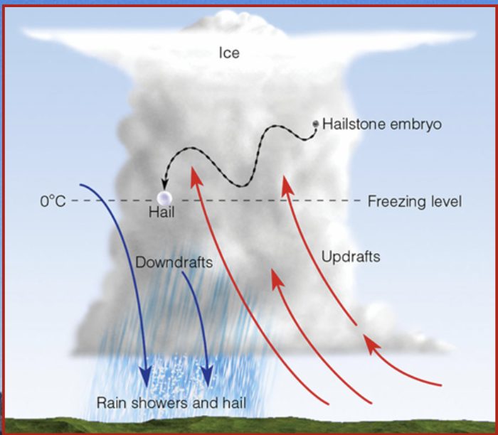 It is formed during thunderstorms in cumulonimbus clouds

\
Updrafts in the cloud repeatedly force a water droplet upward

\
The droplet develops a ring of ice around it each time it enters the cold part of the cloud. 