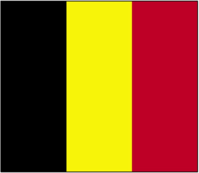 <p>The colors correspond to the red lion of Hainaut, Limburg and Luxembourg, the yellow lion of Brabant, and the black lion of Flanders and Namur.</p>