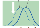 <p>Directional selection </p>