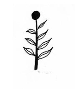 <p>identify the inflorescence</p>