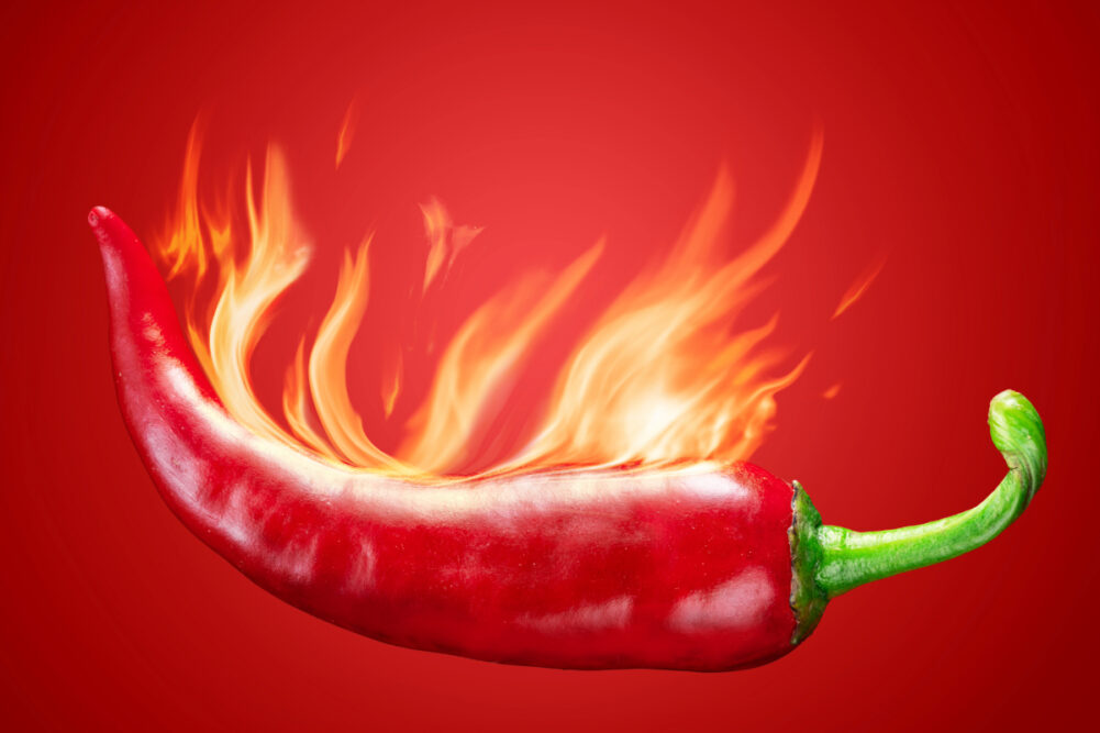 <p>Picante</p>