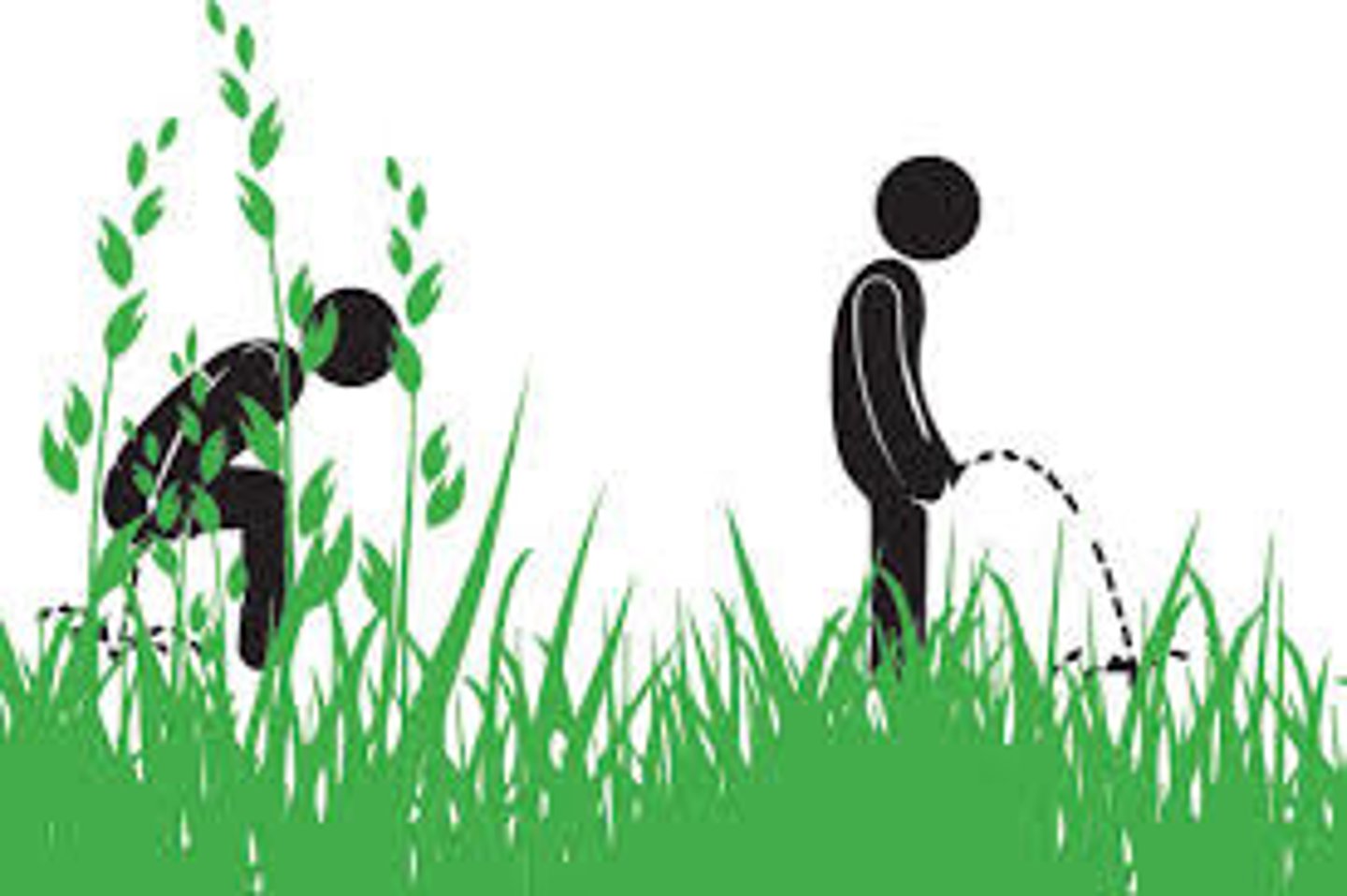 <p>using open spaces rather than a toilet to pass human waste</p>