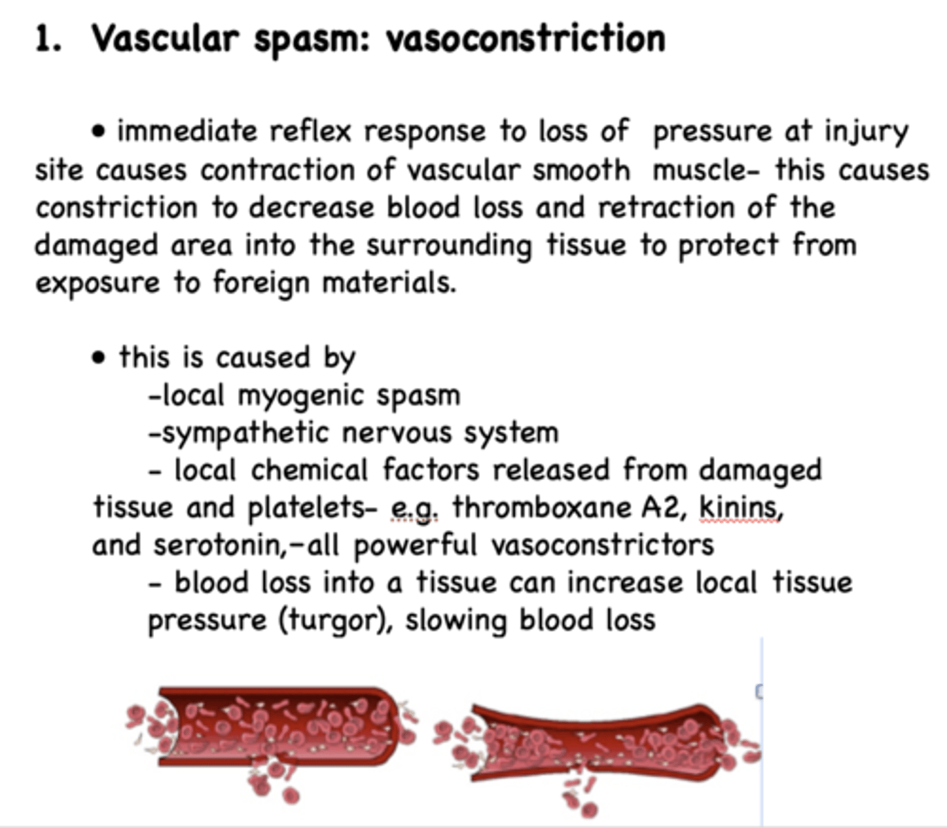 <p>contraction of vascular smooth muscle and constriction</p>