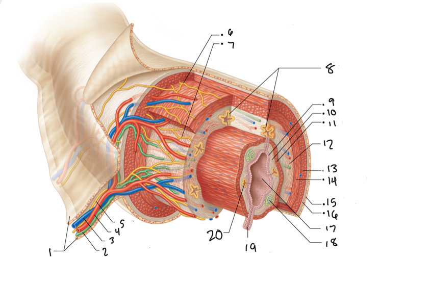<p>3</p>