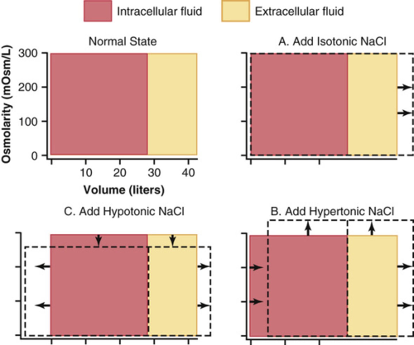 <p>Isotonic: won't change osmolarity, just adding volume to ECF</p><p>Hypertonic: will increase osmolarity, add volume to ECF decrease volume in ICF, water from ICF will come out and add to ECF</p><p>Hypotonic: decrease osmolarity, increase volume in ECF and ICF, loss of driving force outside will slow down the movement of water outside to inside</p>