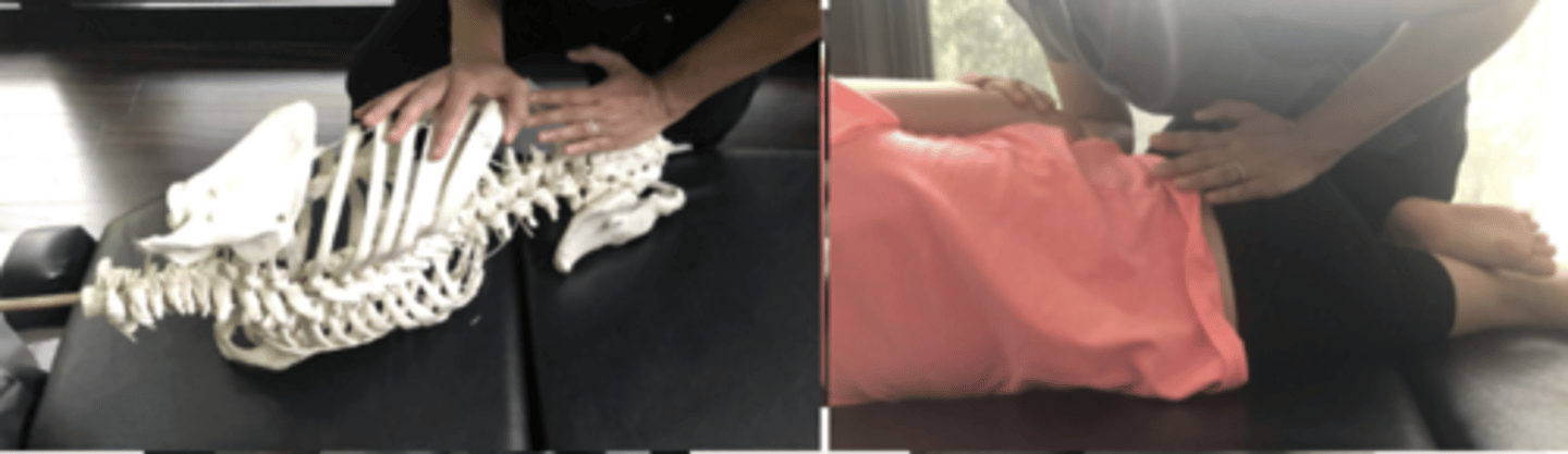 <p>PP: Basic side posture position with the dysfunctional side down-verbalize how you found the segment</p><p>DP: Modified fencer stance on side opposite dysfunction</p><p>CH: Caudal (L) hand, hypothenar (pisiform) on up-side of the sacral apex (R lateral side of sacral apex)</p><p>IH: Cephalic (R) hand slight upward traction holding the pt's up-side shoulder or overlapping hand</p><p>LOD: P-A</p>