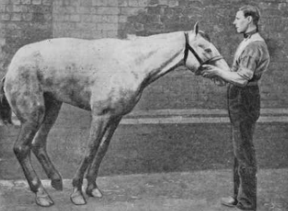 <p><span style="background-color: transparent;"><strong><span>Rhabdomyolysis</span></strong></span></p>