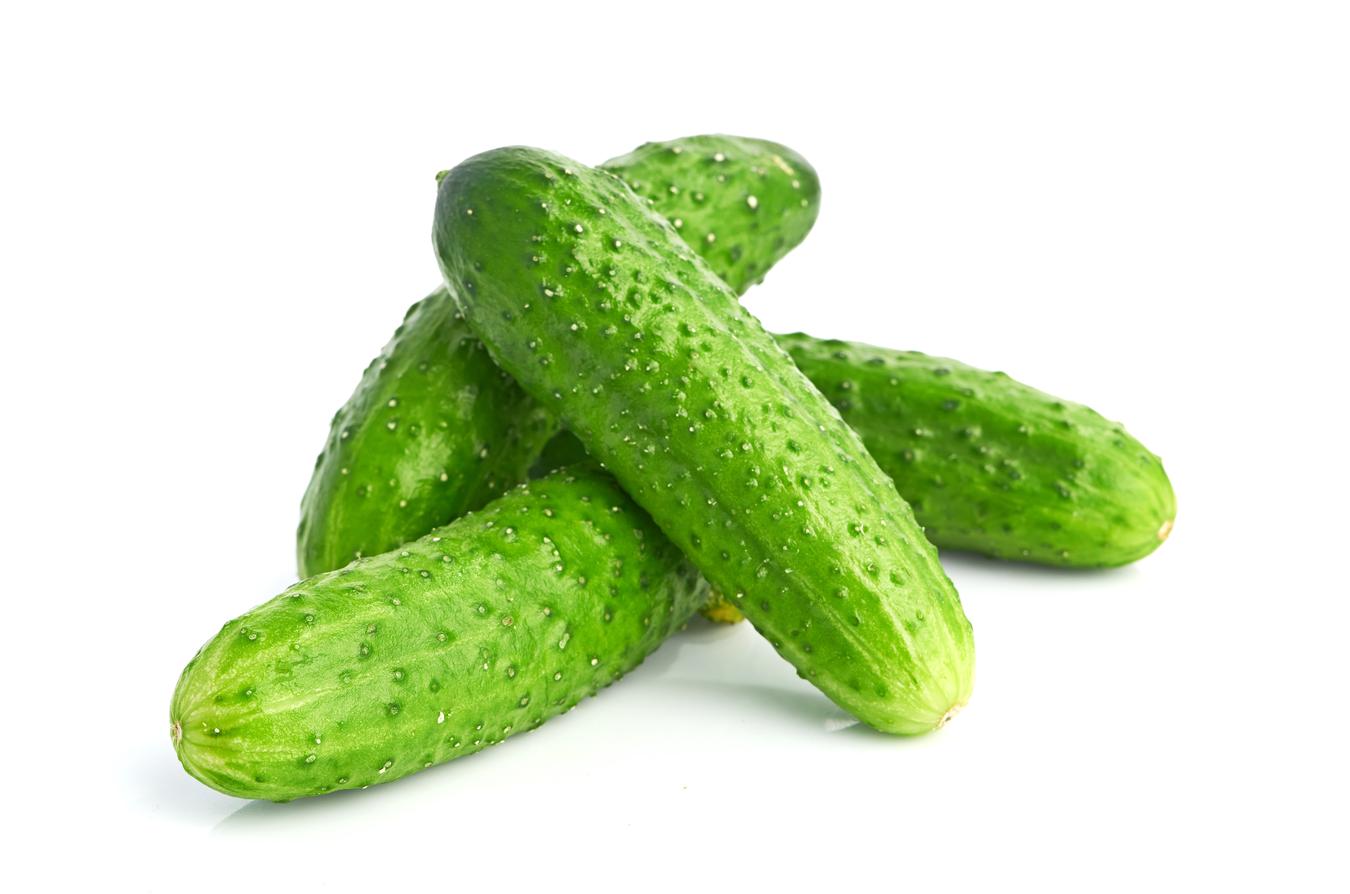 <p>El pepino</p>