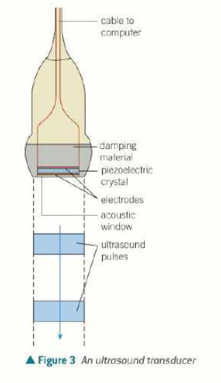 <ul><li><p>generates and receives ultrasound</p></li><li><p>changes electrical energy to/from sound</p></li><li><p>to generate, high frequency alternating pd is applied across opposite faces of crystal, compressing and expanding it</p></li><li><p>the frequency is the same as the frequency of oscillation of the crystal</p></li><li><p>the crystal resonates and produces an intense ultrasound signal</p></li><li><p>usually 5000 pulses of ultrasound are emitted per second</p></li><li><p>to detect ultrasound, any ultrasound incident on crystal makes it vibrate (compress/expand) so generates an alternating emf, which can be detected by circuit</p></li><li><p>the crystals are lead zirconate titanate or polyvinylidene fluoride instead of quartz nowadays</p></li></ul><p></p>