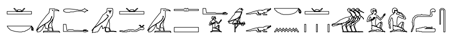 term image