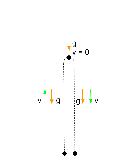 <p>An object is launched with an initial velocity, and decreases in velocity as it ascends to its maximum height (whilst rate of acceleration remains the same). As it ascends, its velocities mirror those as it ascends, but its vector is instead denoted in the (-) downwards direction. Final Velocity = Initial Velocity, but with opposite signs.</p>