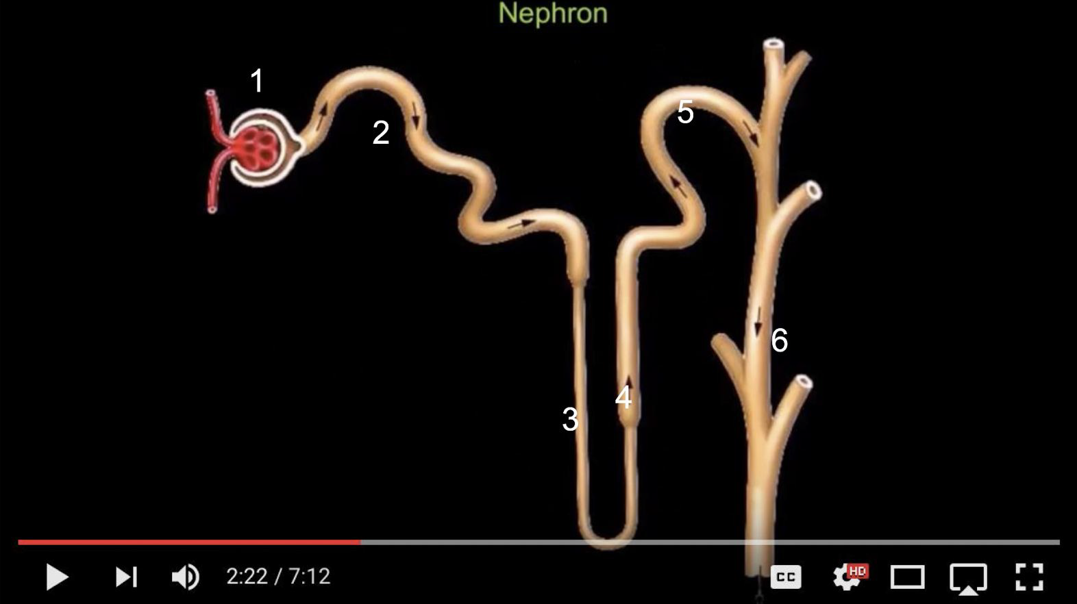 <p>what is the fluid flow ?</p>