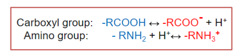 <ul><li><p>many drugs are weak acids/bases containing functional R groups that can be ionized (charged) or unionized (uncharged) depending on pH of the surrounding medium</p><ul><li><p>due to protonation/deprotonation of the compound as a result of the drug’s interaction w/ aq medium</p></li></ul></li><li><p>unionized forms of a drug can more readily diffuse across a membrane</p></li><li><p>ionized forms of a drug will have lower K<sub>ow</sub> and thus a reduced ability to permeate the membrane</p><ul><li><p>charged are more hydrophilic due to their ability to interact w/ H2O dipoles through H-bonds</p></li></ul></li></ul>